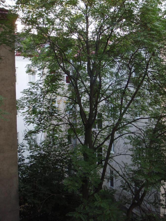 Augartenblick Penthaus 17 - Blick zum Riesenrad Wien Exterior foto